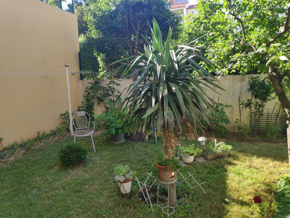 Appartement Spacious With Big Garden Near *